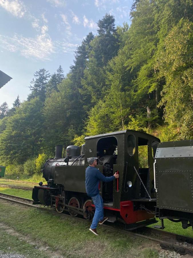 Bieszczadzki Klin Bklin Villa Cisna Eksteriør billede