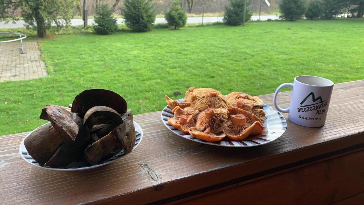 Bieszczadzki Klin Bklin Villa Cisna Eksteriør billede