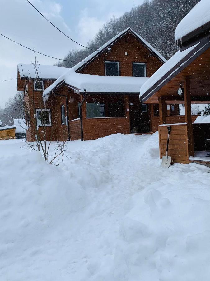 Bieszczadzki Klin Bklin Villa Cisna Eksteriør billede